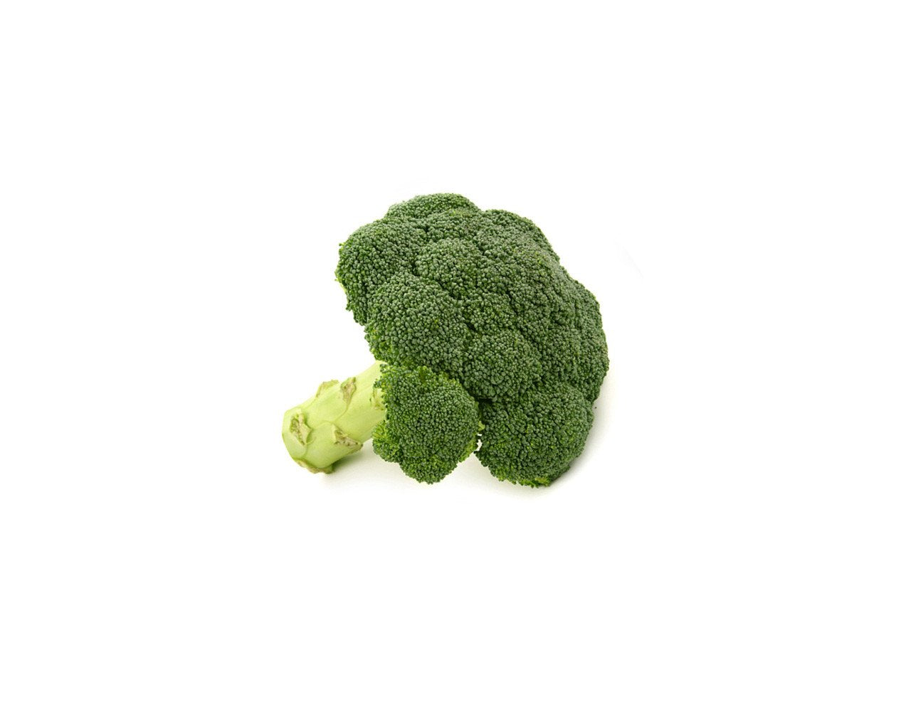 Broccoli